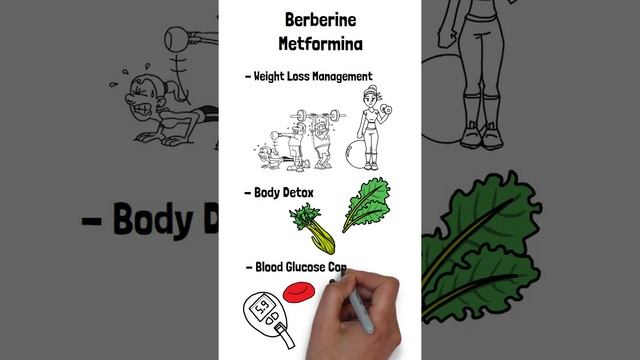 Berberine Metformina's Benefits #berberine #detox #diabetes #metformin #supplements #weightloss смотреть онлайн