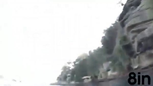 Парень прыгнул в воду и встретился с акулой