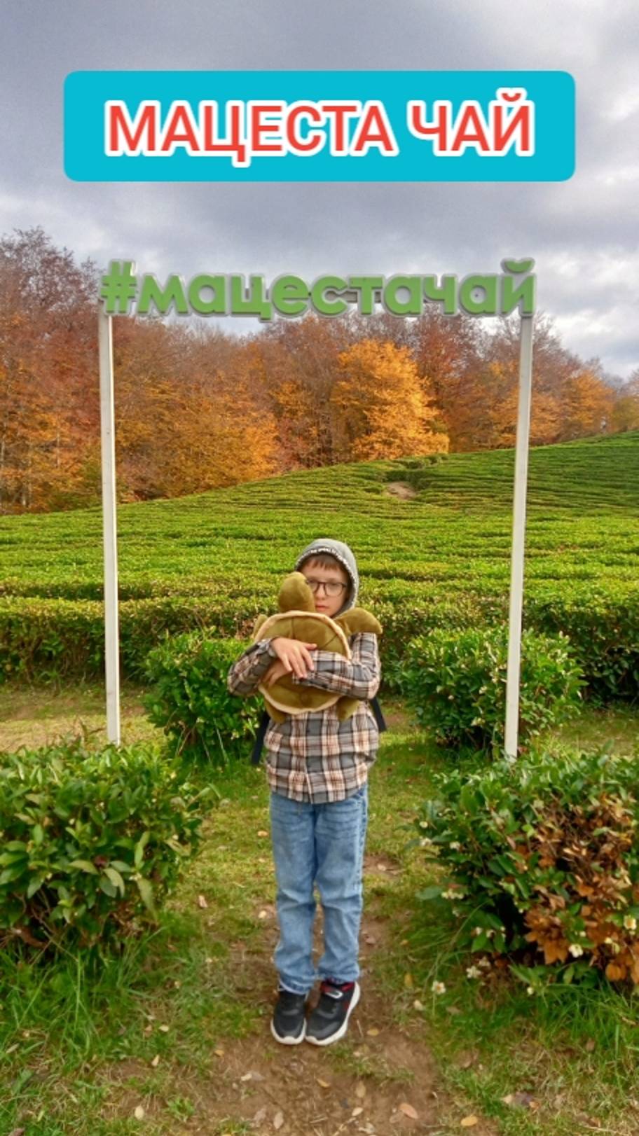 ЭКСКУРСИЯ НА ЧАЙНУЮ ПЛАНТАЦИЮ. СОЧИ. МАЦЕСТА ЧАЙ. смотреть онлайн