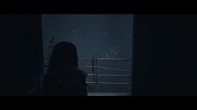 Until Dawn (Дожить до рассвета) (Remake) [коллекционные предметы (все улики)] смотреть онлайн
