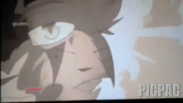 Коти воители #picpac #stopmotion смотреть онлайн