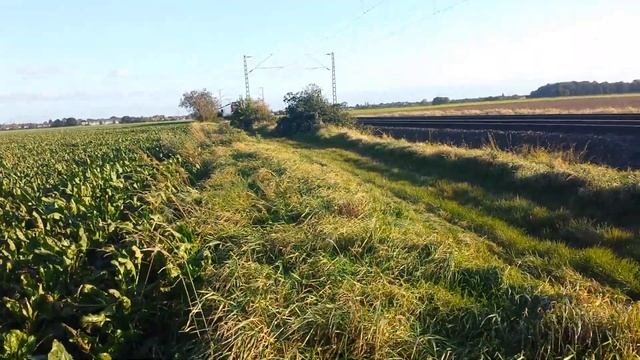 24 октября 2023 г. электропоезд DB хозяйственным смотреть онлайн