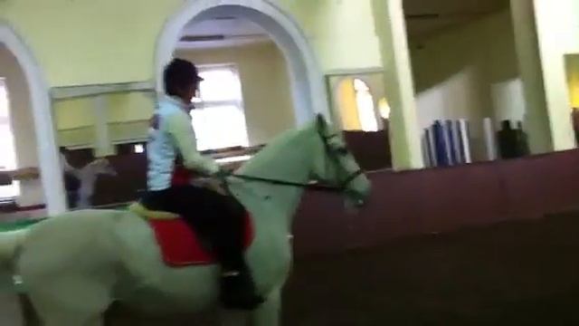 Анастасия Волочкова в конном клубе смотреть онлайн