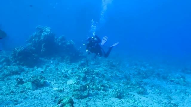Diving смотреть онлайн