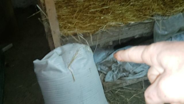 Подготовка стеллажей и уход при выращивании червей. смотреть онлайн