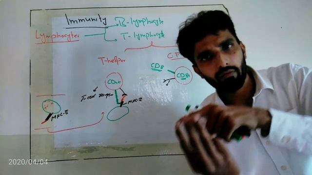 03: Types and Functions of T-Lymphocytes. T- Helper cells and Cytotoxic T- cells. Urdu/Hindi смотреть онлайн