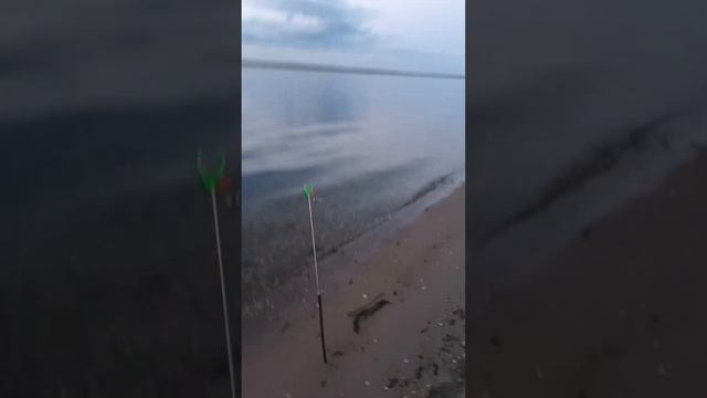 Забросил на судака, а клюнул сом смотреть онлайн