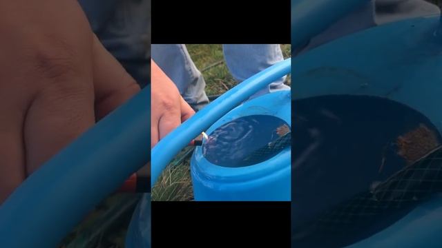 горит газ из скважины смотреть онлайн