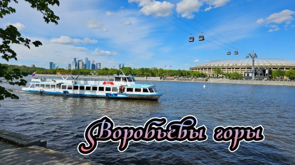 Воробьёвы горы. МГУ