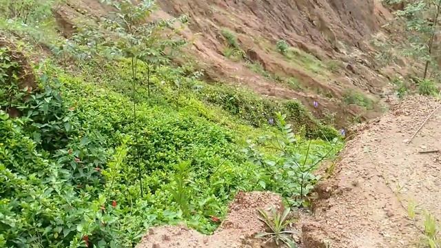 LOSING WORLD-1 смотреть онлайн