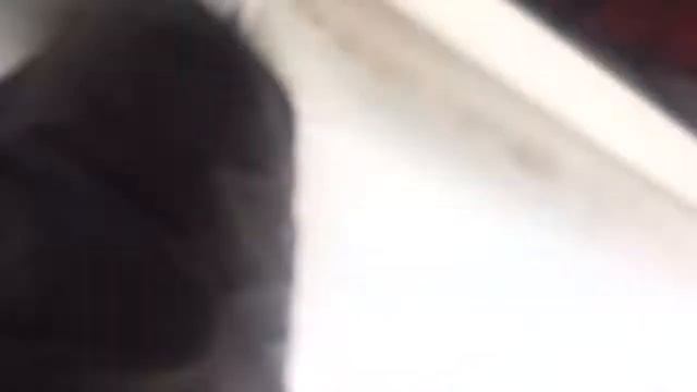 2001 Cobalt 246 смотреть онлайн