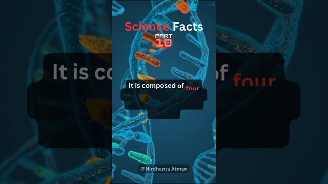 Interesting facts about DNA смотреть онлайн
