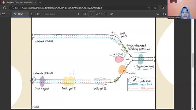 Replikasi DNA (Keys player of replication DNA) смотреть онлайн