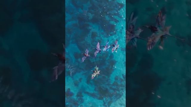 Фильм "Аватар: Путь воды" Краткое содержание смотреть онлайн