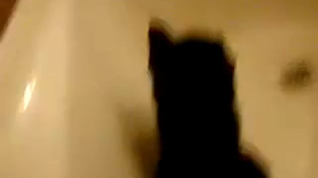 Буська и вода часть 3 смотреть онлайн