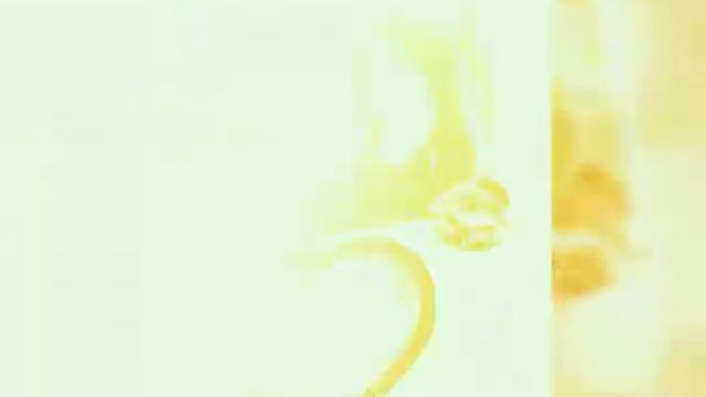 Кыдырмышов Кубан суйом сени смотреть онлайн