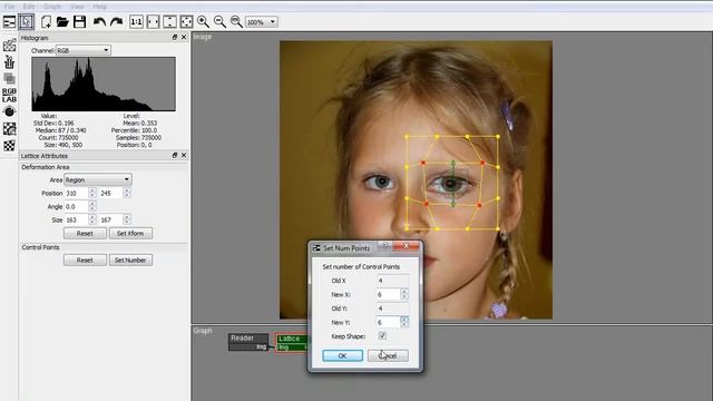 Non-destructive Image Deformation - Lattice node - PixaFlux смотреть онлайн