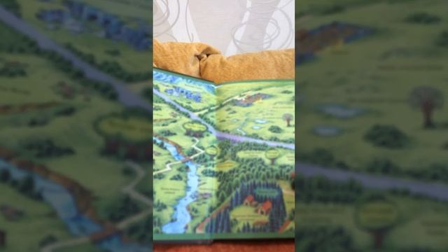 Обзор на книгу «Коты-Воители. Огонь и лёд» смотреть онлайн