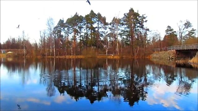 Чайки Приозерские. смотреть онлайн