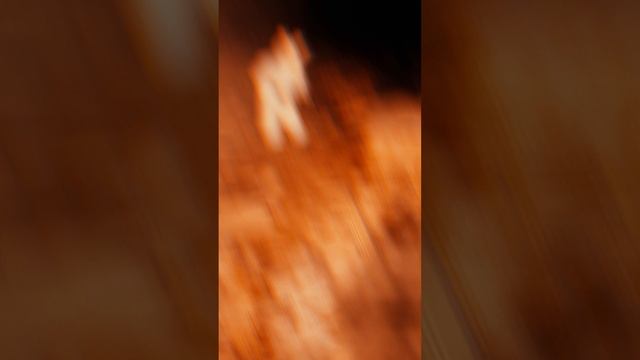 Он у меня в голове