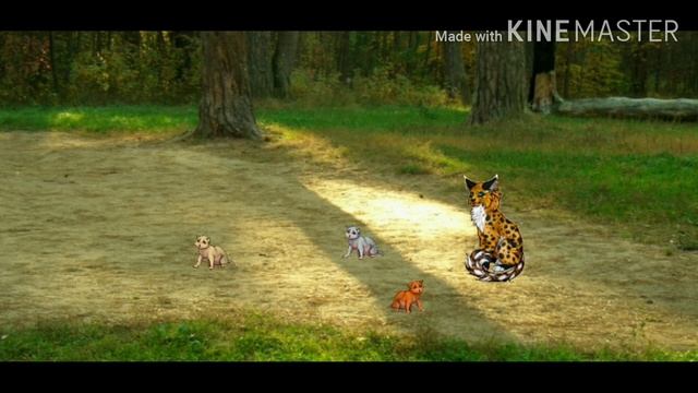 Я влюбилась в Рыбьелапа... {CatWar} смотреть онлайн