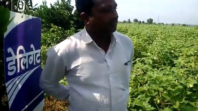 Delegate On Cotton Crop Saoner Nagpur смотреть онлайн