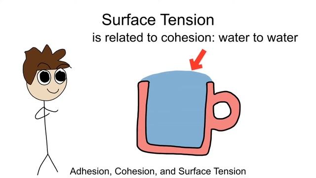 Adhesion, Cohesion and Surface Tension Part 10 смотреть онлайн