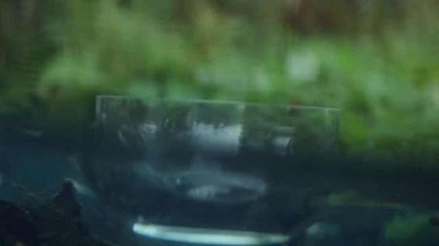Почуй Моршинська Голос Води. Прем'єра 23 березня смотреть онлайн