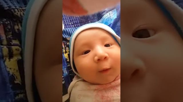 21 декабря 2017 г. смотреть онлайн