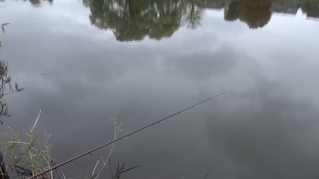 Feedern ohne großes Tamtam! wie einfachstes Feederangeln Spaß macht. смотреть онлайн