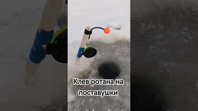 Клев ротана на поставушки смотреть онлайн