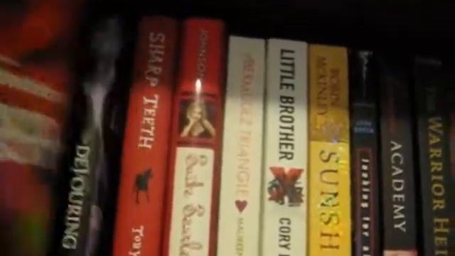 Updated Bookshelf Tour Part 1 смотреть онлайн