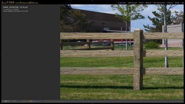 Nikon Z 24-200mm Lens Review & Comparison with 24-120 VR Nikkor