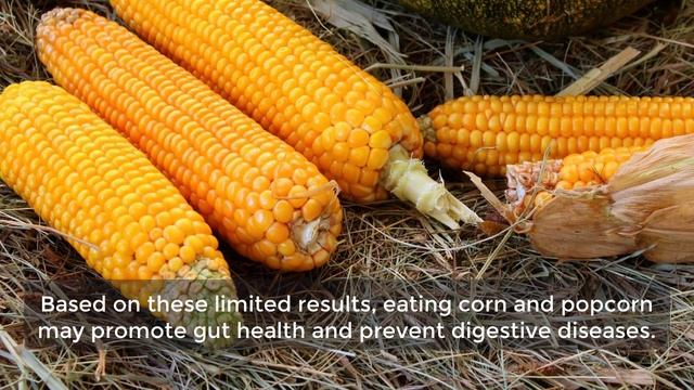 Corn Benefits and Side Effects, Corn Benefits For Health смотреть онлайн