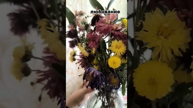 продолжаю принимать и наблюдать #здоровье #витамины #осень смотреть онлайн