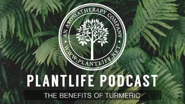 Benefits Of Turmeric Plantlife Podcast #17 смотреть онлайн