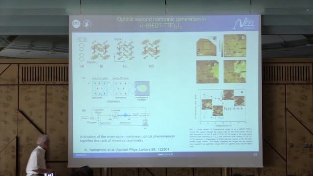 SPICE Bad Metals Workshop - Pierre Monceau - Charge ordering in low dimensional organic compounds смотреть онлайн