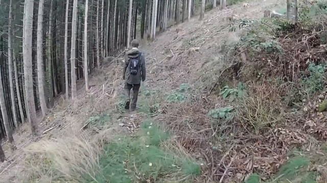 Der Kandel 2.0 Schwarzwald Wanderung смотреть онлайн