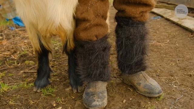 Vadideki Keçi Çobanı - Kara Kemal | Belgesel ▫️4K▫️