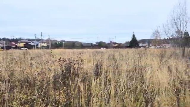 зу :337 в д. Осипово смотреть онлайн
