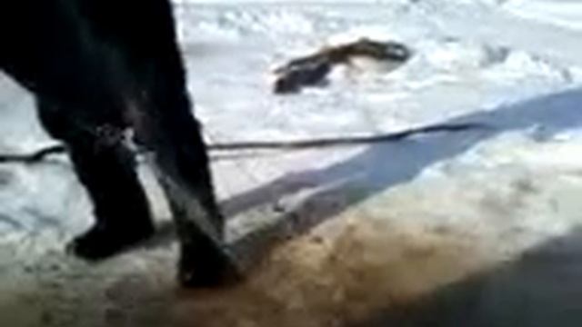 Щука на 36 кило!!!! смотреть онлайн