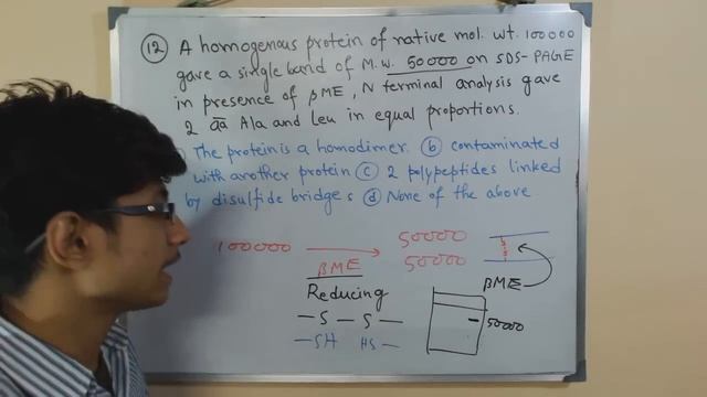 SDS PAGE gel electrophoresis principle | analysis for CSIR NET life sciences exam смотреть онлайн