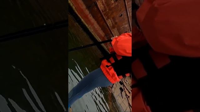 На сап бордах возле ЗАТОНУВШИХ КОРАБЛЕЙ по Тихому океану | Камчатка смотреть онлайн
