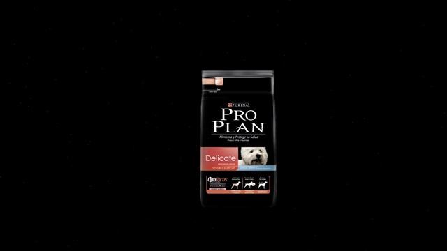 ¿Cómo fortalecer los huesos y los dientes de los perros de razas pequeñas? - PURINA® PRO PLAN® смотреть онлайн