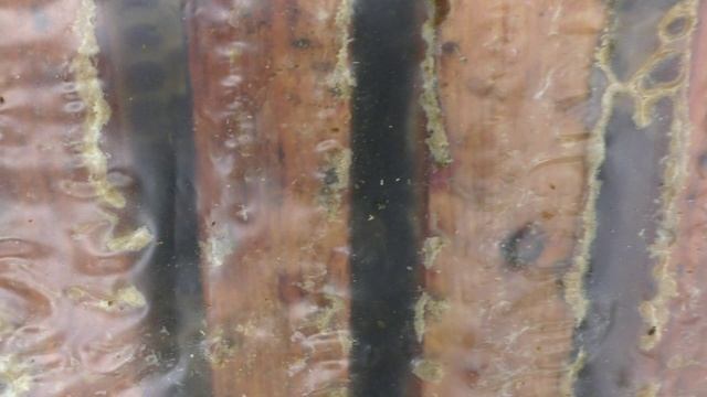 Последняя подготовка пчел к зимовке смотреть онлайн