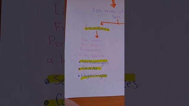 Organismos que fermentan смотреть онлайн