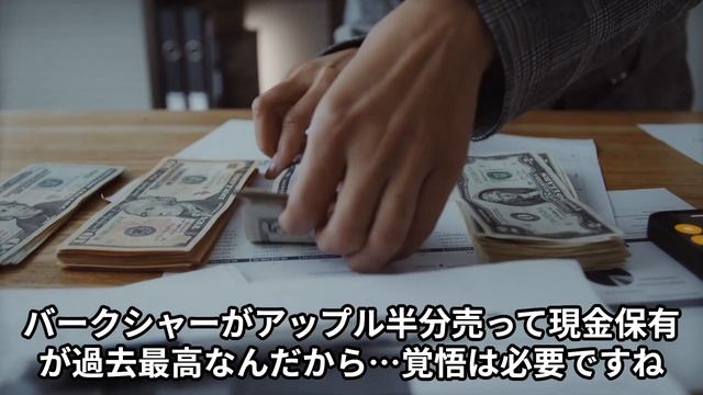 【不明】インデックスは長期！損切りする意味が分からない…「生成AI半導体とハイテク株の8/5反応集」FANG+・一歩テック20・2244・SOX指数・野村半導体・S&P500トップ10 смотреть онлайн
