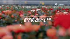 Цветочное направление ГК Горкунов