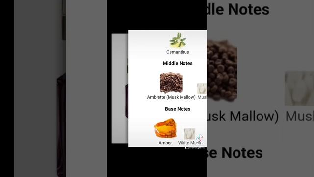 NEW Boss The Scent For Her Magnetic Hugo Boss смотреть онлайн