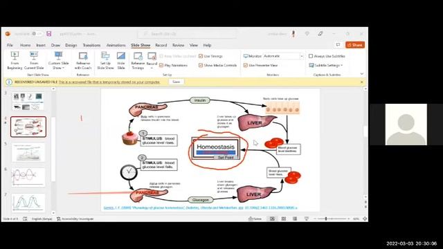 Insulin: Basics and applications + Q&A session with Dr. Ombui смотреть онлайн